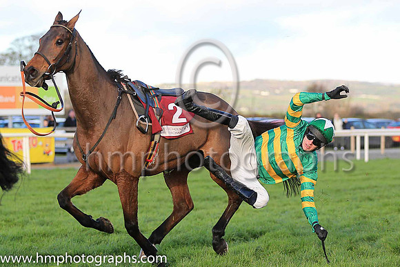 Mark Walsh takes a tumble from Carlingford Lough during the JNWINE.COM Champion Chase at Down Royal