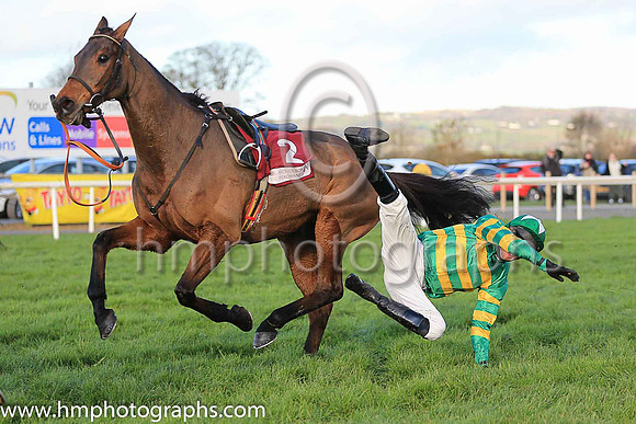 Mark Walsh takes a tumble from Carlingford Lough during the JNWINE.COM Champion Chase at Down Royal