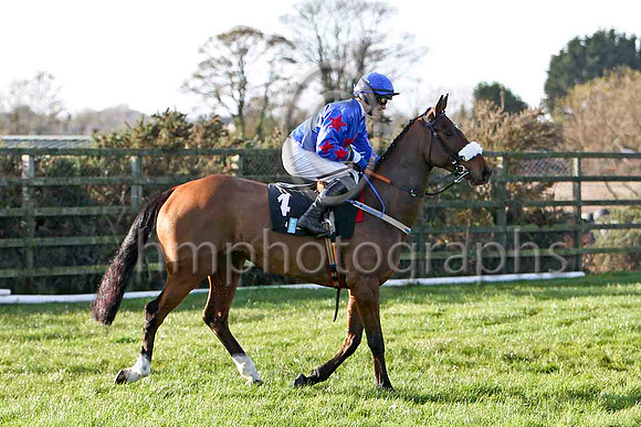 Macville , 4th - Jockey P Townend - FT8E6527-e