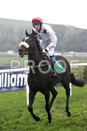 Ironmill Lad , 2nd, Jockey - Mr J T Carroll - FT8E5524-e