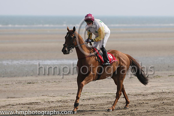 8 Decision By One and J A Heffernan - - 8th (9 ,white, emerald green stars ) Trainer - S J Mahon