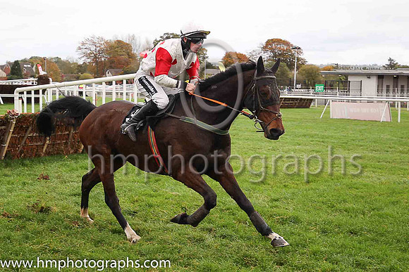 08th Macs Bach and P T Enright ( 3 , white, red spots ) Trainer - Ms M Flynn , Owner - Santry Power Walsh Syndicate