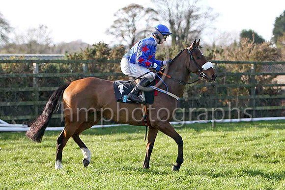Macville , 4th - Jockey P Townend - FT8E6526-e