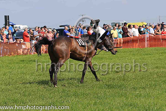 TULLYORIOR and R A Devine ( 10 , PURPLE; white sleeves; red cap,white star ) Trainer: Catherine Barry , Owner : Catherine Barry