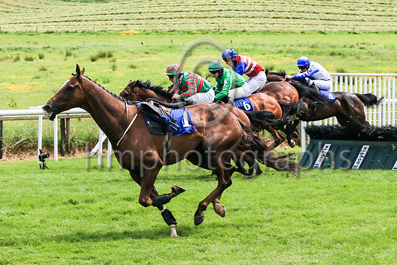 01st Arizona Flyer  and ( 3 , green  and red hoops ) Trainer - M Winters , Owner - Thomas McNulty