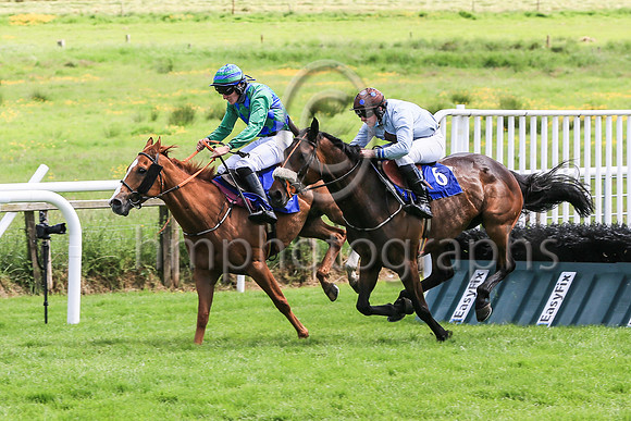 04th Lightsider  and ( 6 , green ) Trainer - P Roche , Owner - Padraig Roche