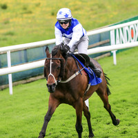 2021-06-12th-Downpatrick (hr) (8/23)
