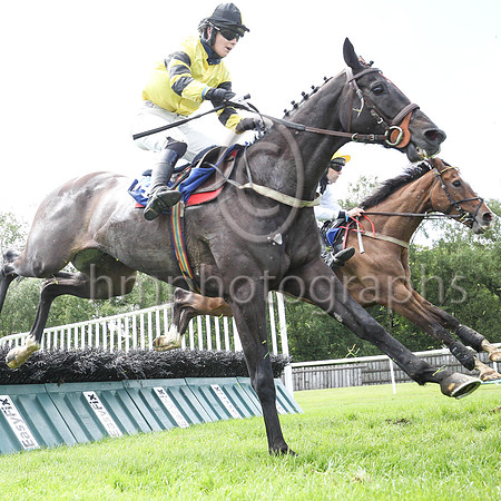 13th Glenbank King  and ( 14 , yellow ) Trainer - L Smyth , Owner - Victor Robinson