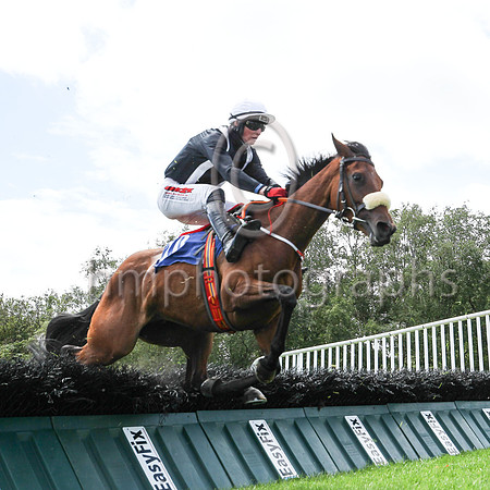 11th See What Happens  and ( 10 , black, white braces ) Trainer - W J ODoherty , Owner - W J ODoherty