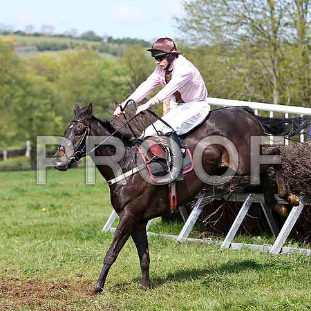 Obispo , 4th, Jockey M J O'Hare -FT8E2004-e