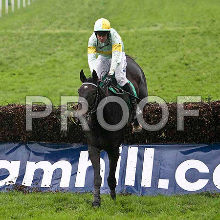Mighty Bob , 8th - Jockey Andrew J McNamara - FT8E5437-e