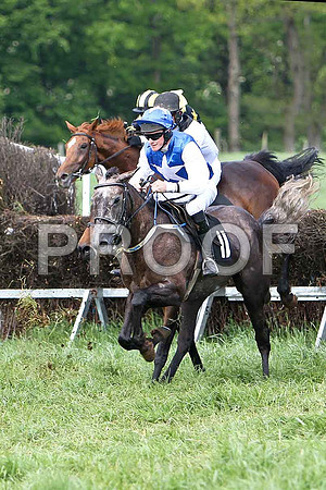 Fifth Race Div 1 - Anforah (11) 6th, Rider J T Rath - CU2D9650-e