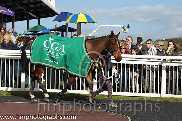 Tammys Hill - winner of the CGA Foxhunter Chase at Cheltenham - FT8E4325-3