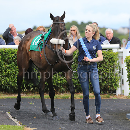Hide The Biscuit and S D Torrens 7 ( 13 , black, yellow seams ) Trainer - M Torrens , Owner - Ms Anne Torrens