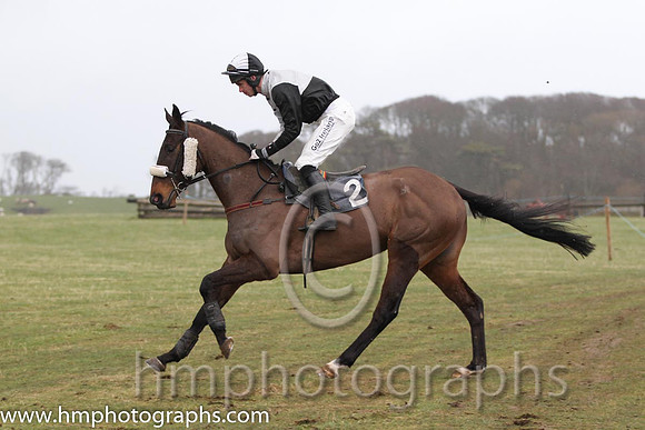 07 Belmount & Derek O'Connor - Fell (2, black & white qtrd) - FT8E3234-59