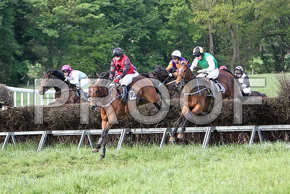 Race 6 Div 2 - Been a Long Time (2) 6th, Rider B F Brabazon, Gregg Boy (12) 2nd, Rider J Cresswell, Supitinye (27) 3rd, Rider J P McKeown & Glyring Feather (10) winner, Rider M J O'Hare - CU2D9808-e