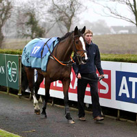Connie De Mar - Jockey Mr R M Johnston - 16th - CU2D1756-e