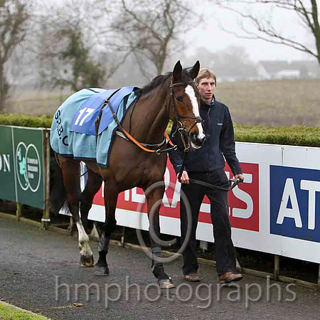 Connie De Mar - Jockey Mr R M Johnston - 16th - CU2D1756-e