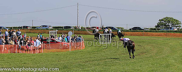 TULLYORIOR and R A Devine ( 10 , PURPLE; white sleeves; red cap,white star ) Trainer: Catherine Barry , Owner : Catherine Barry
