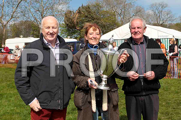 Bear Witness , Winner, Jockey - Derek O'Connor - CU2D4539-e
