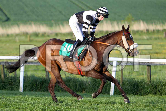 Norwich Flyer , 2nd , Jockey Miss Nina Carberry - FT8E3134-e
