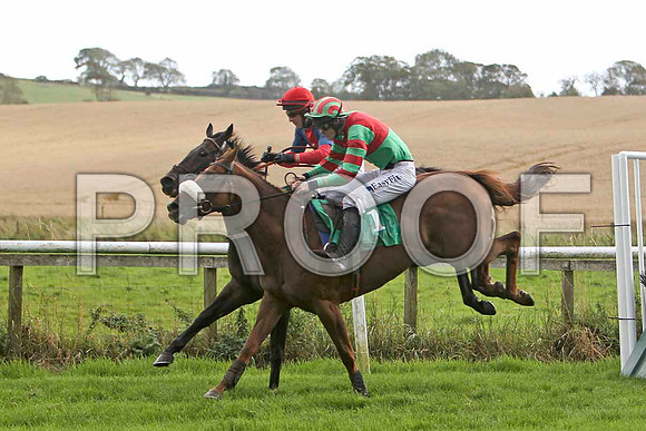 Breeze With ease & Claragh Native - FT8E4725-e