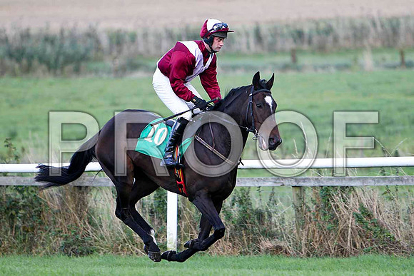 Robertstown Rover - Winner -FT8E4959-e