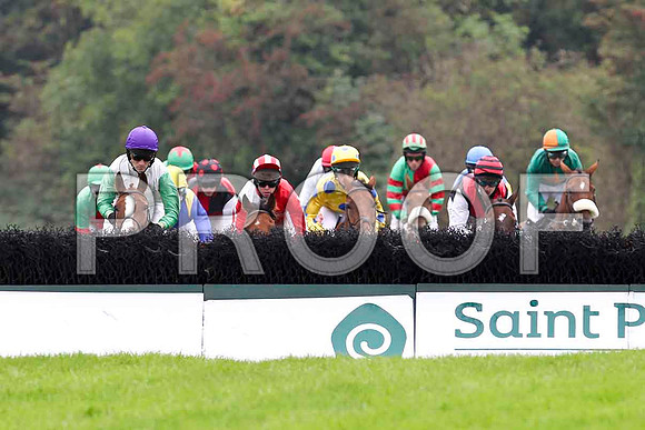 Miss Macauley ( Purple Cap) , Jockey Mr B T O'Connell - 13th in the lead - Lets Go sunshine , Jockey Mr B O'Neill - winner in centre in Yellow and Blue Spots - FT8E4043-e