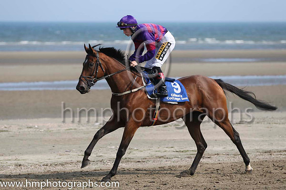 5 Simple Joys and C T Keane - - 5th (9 ,purple and maroon hoops ) Trainer - Mrs Denise Foster