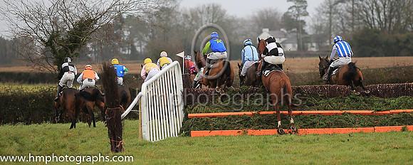 Roders and horses at the Dennison Commercials Ltd Maiden Race for 4-Y-O at Iveagh Hunt P2P