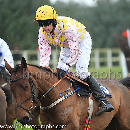 02nd PRESENTED WELL and M J O'Hare ( 25 , PINK  YELLOW CHECK; pink sleeves; yellow cap ) Trainer: Warren Ewing,, Owner : Warren Ewing