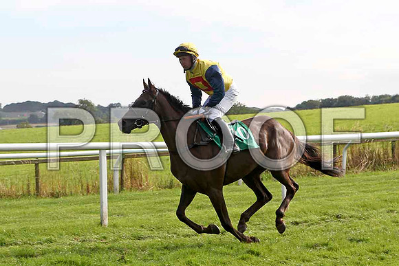 Maggie Sue 7th, Jockey Mr J P McKeown - FT8E3185-e
