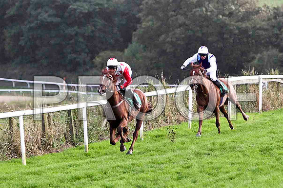 Bridgets Pet - Winner & Falcarragh - 2nd - - FT8E5085-e2