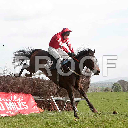 Traad Bay , 4th, Jockey - W Thompson -CU2D4597-e