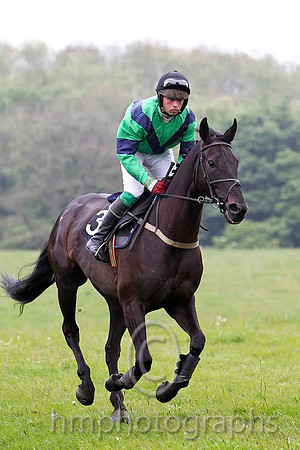Teluel , 8th, Jockey J A Jenkins - FT8E2796-e
