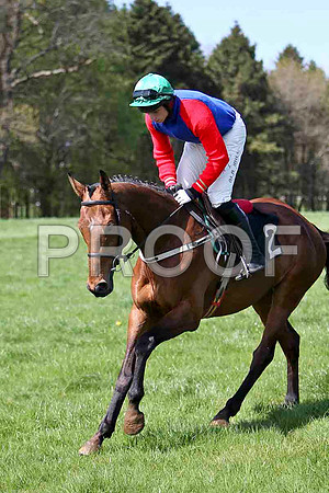 Glenariffe , 2nd Jocket J J Codd - FT8E1983-e