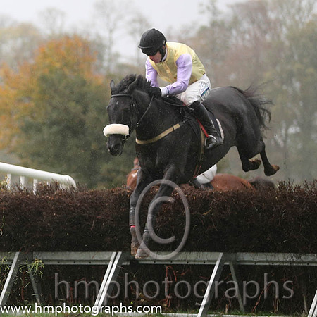 03 Mister To Mister and Derek O'Connor - - 03rd (11 ,primrose , mauve sleeves ) Trainer - Shane Gault