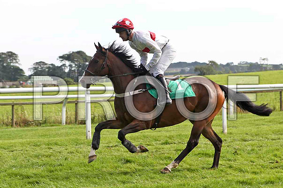 Ask the Group 10th, Jockey Mr E Magee- FT8E3167-e