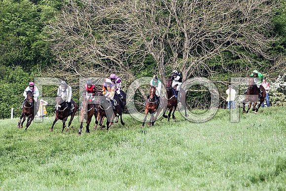 Race 6 Div 2 - Glyding Feather (10) winner - 3rd form right - CU2D9813-e