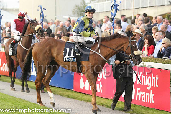 18 Rummaging and S Foley - - 18th (11 ,dark blue and yellow quartered ) Trainer - M Halfoth