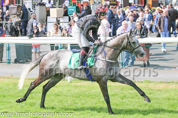 Race 4 Winner Dollar Value ridden by Mark McDonagh trained by T G McCourt - colours black, red and white cap number 1