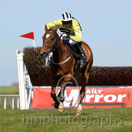 So Determined - 2nd , Jockey E J O'Connell -FT8E2209-e