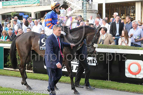 15 Burn The Boats and J P O'Brien - - 15th (9 ,royal blue, orange hooped sleeves ) Trainer - G M Lyons