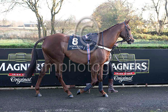 Equation - PU, Jockey A P Crowe - IMG_9715-e2