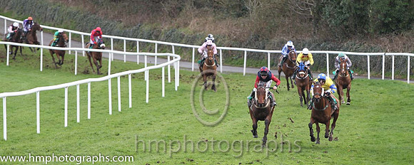 02 Unoccupied & P T Enright - 2nd (9, blue, red sleeves) & 01 Hidden Horizons & P Carberry - winners (11, yellow, blue & yellow hooped sleeves ) - - FT8E4395-28