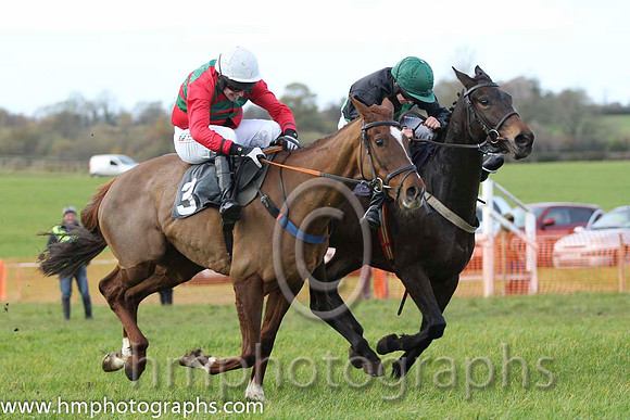 02 Maple Mons & B O'Neill - 2nd (3, red, green chevrons) & 01 Maple Valley Gold & Ms R Blackmore - winner (4, black, green sash ) - FT8E0680-1