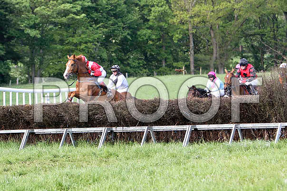 Race 6 Div 2 - Moneybach Garantee (19) 4th, Rider C Cully, OLdtown wood (22) PU, Rider J J Gault, Been a Long Time (2) 6th, Rider B F Brabazon & Gregg Boy (12) 2nd , Rider J Cresswell- CU2D9806-e