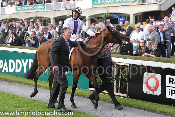 12 Intensical and K J Manning - - 12th (4 ,white, purple panel ) Trainer - J S Bolger