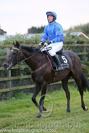 08 Rocking Bishop and Mr A H Wells - - 08th (5 ,blue, black stars ) "