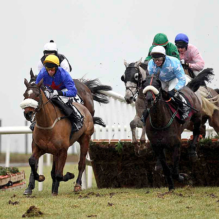 Garryowen Star (Light blue with white stars) Winner, Jockey D J Casey - CU2D3215-e